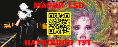 прущие грибы Ставрополь