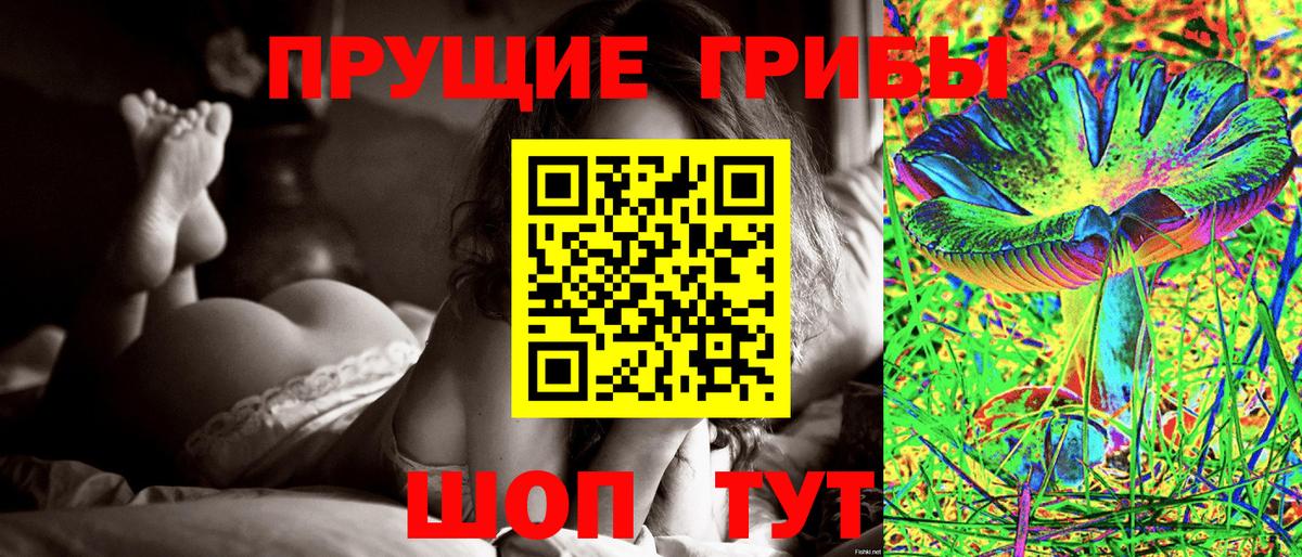 Рассказово  Псилоцибиновые грибы MAGIC MUSHROOMS  Вход с VPN  Псилоцибиновые грибы ЛСД 